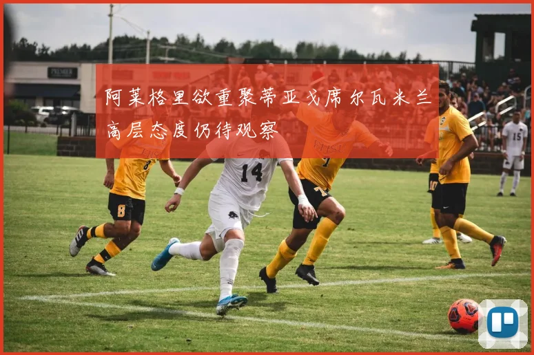 阿莱格里欲重聚蒂亚戈席尔瓦米兰高层态度仍待观察